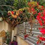 Apartment & Ardian-mandi Sarande-albania