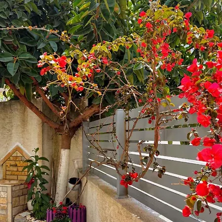 Apartment & Ardian-mandi Sarande-albania