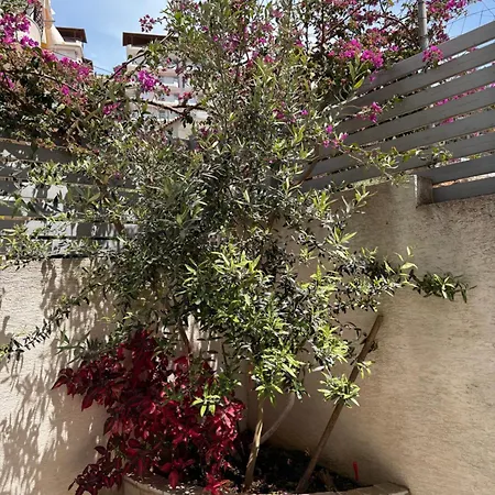 & Ardian-mandi Sarande-albania *