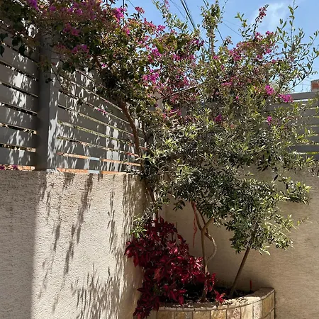 & Ardian-mandi Sarande-albania