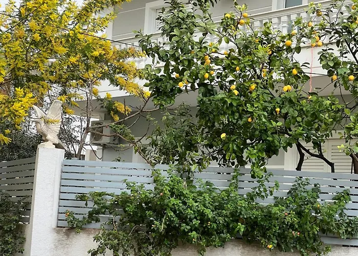 & Ardian-mandi Sarande-albania Appartement