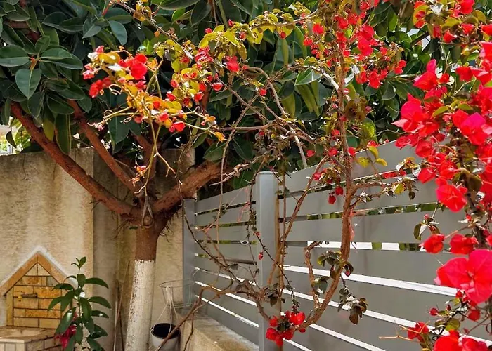 Appartement & Ardian-mandi Sarande-albania