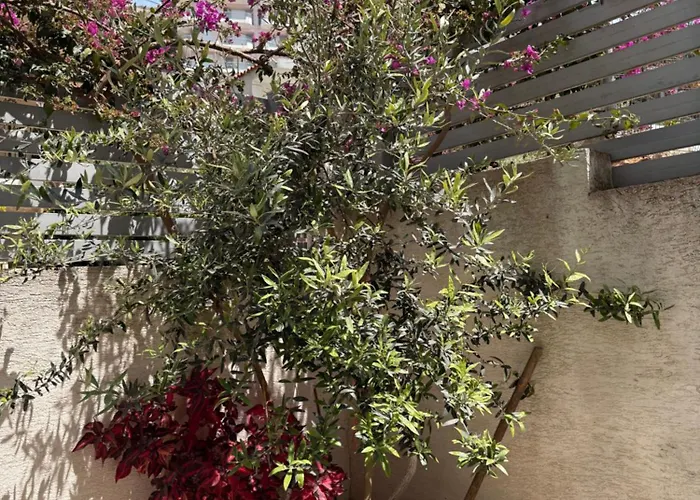 & Ardian-mandi Sarande-albania *