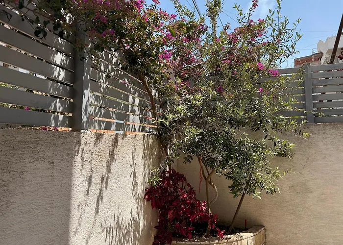 & Ardian-mandi Sarande-albania