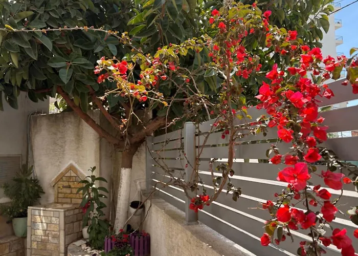 Appartement & Ardian-mandi Sarande-albania