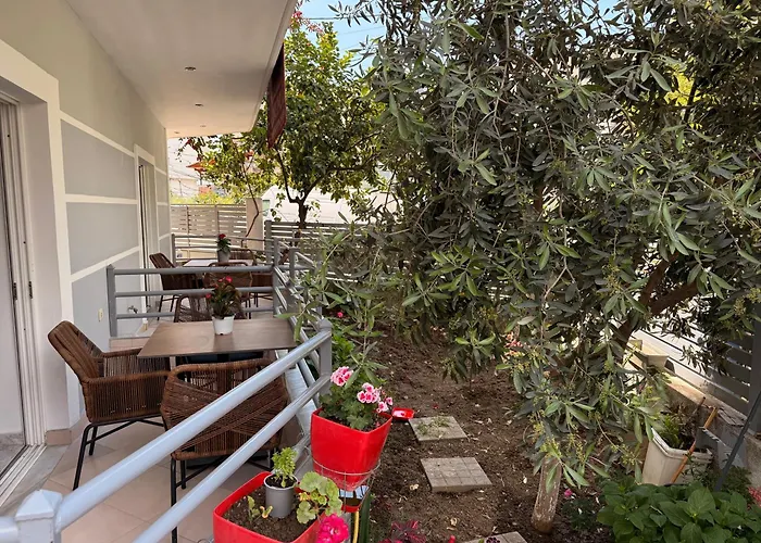 & Ardian-mandi Sarande-albania *