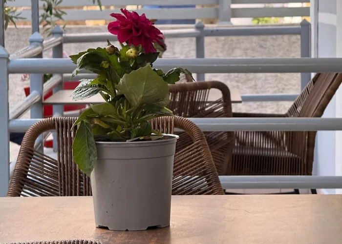 & Ardian-mandi Sarande-albania * Sarandë